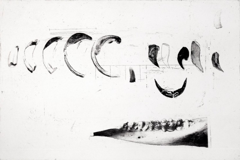 Age Evaluation II | etching | 40×35 cm | 2015
